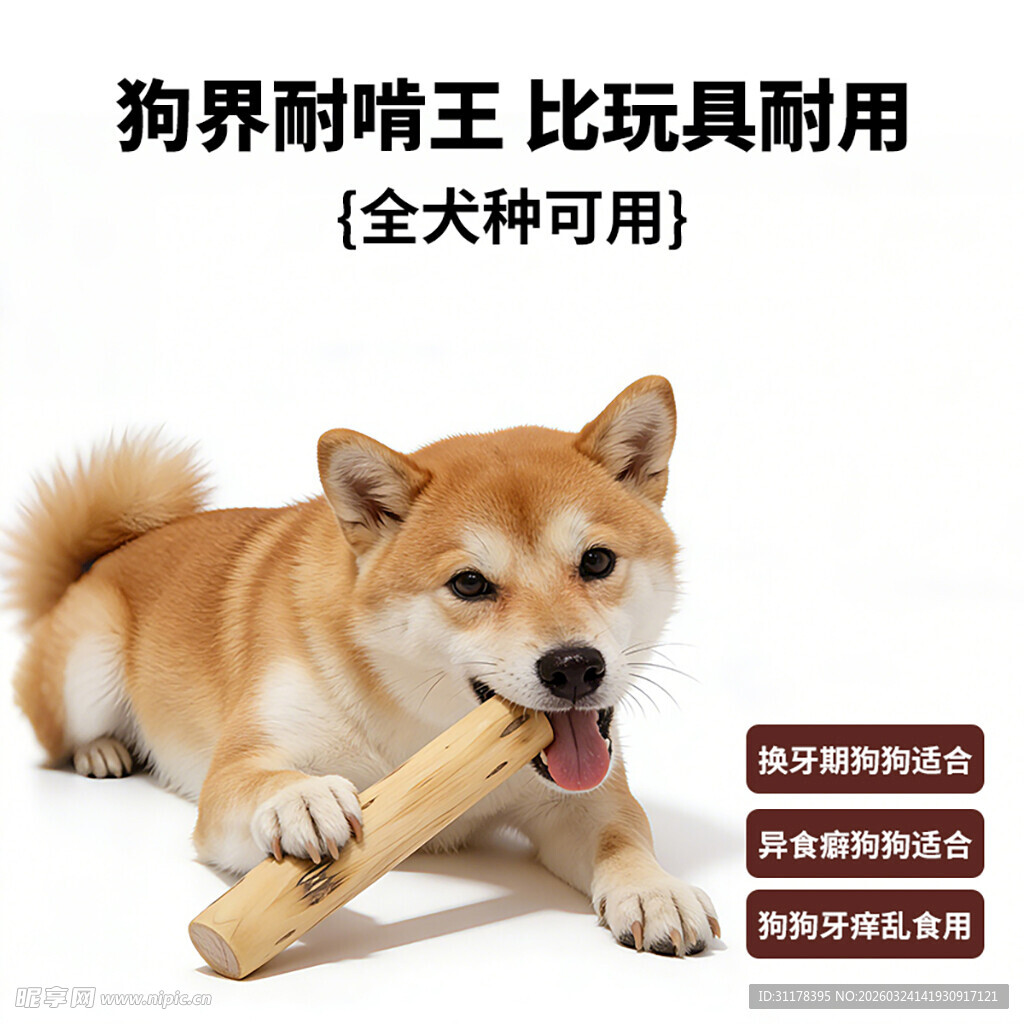狗狗磨牙棒主图设计