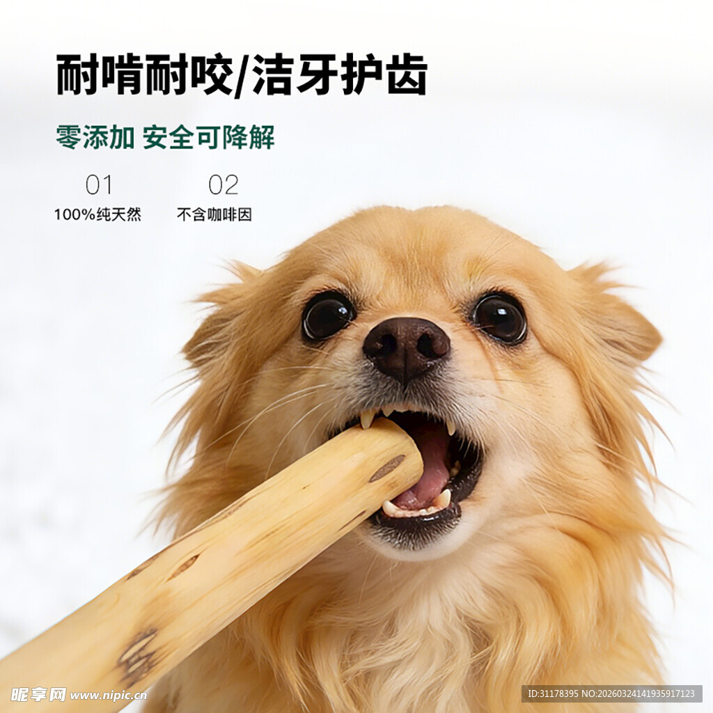 狗狗磨牙棒主图设计