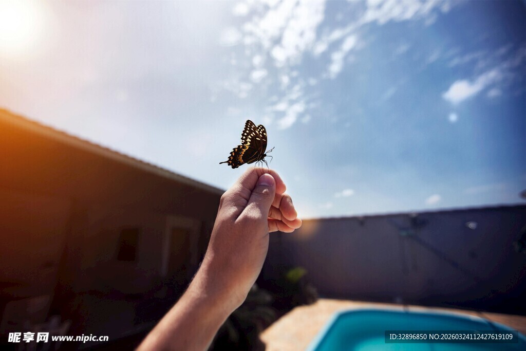 手托蝴蝶于户外泳池边
