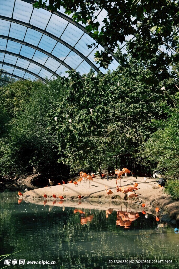 温室中的静谧水景与绿植