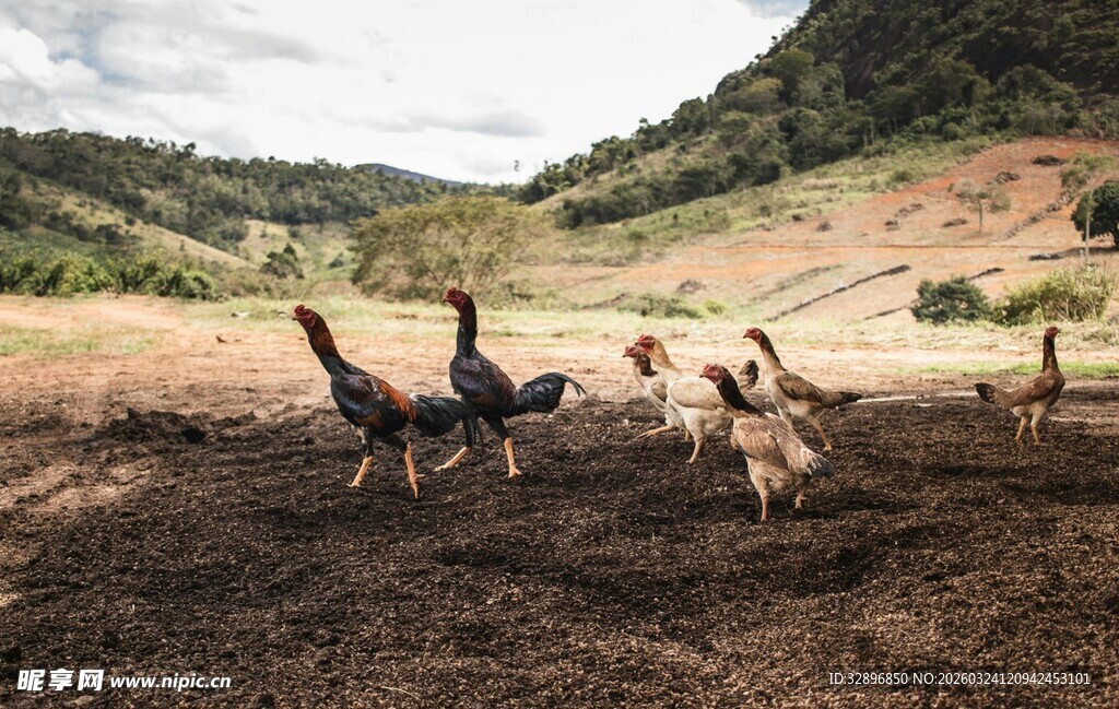 农民田间劳作场景