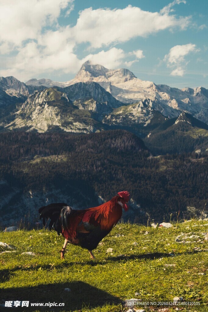 草原上的红衣徒步者