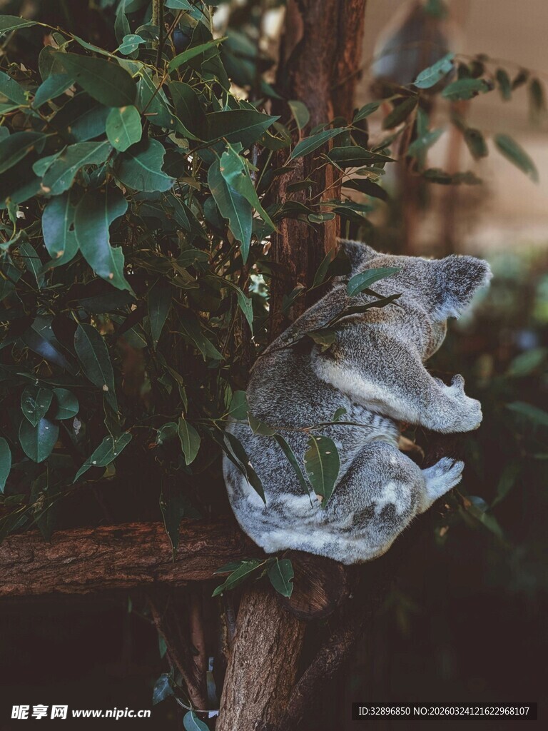 绿叶间的透明塑料袋