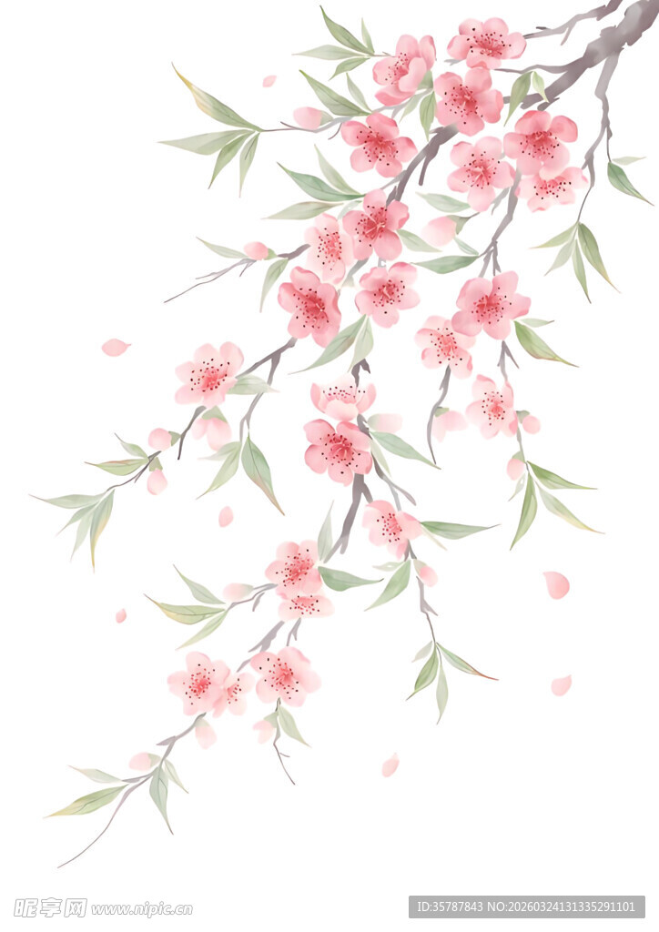 水墨风格绽放的粉嫩桃花