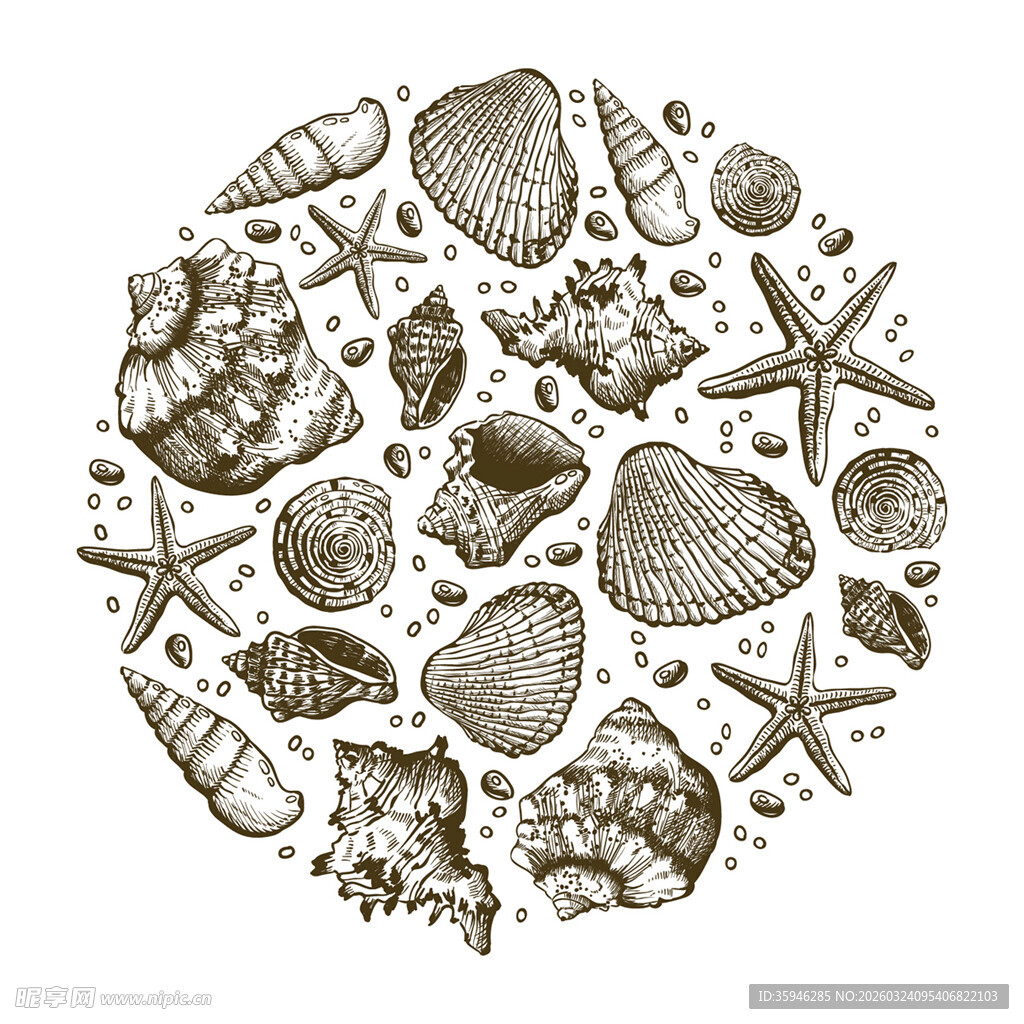 Z手绘海洋贝壳海星图案