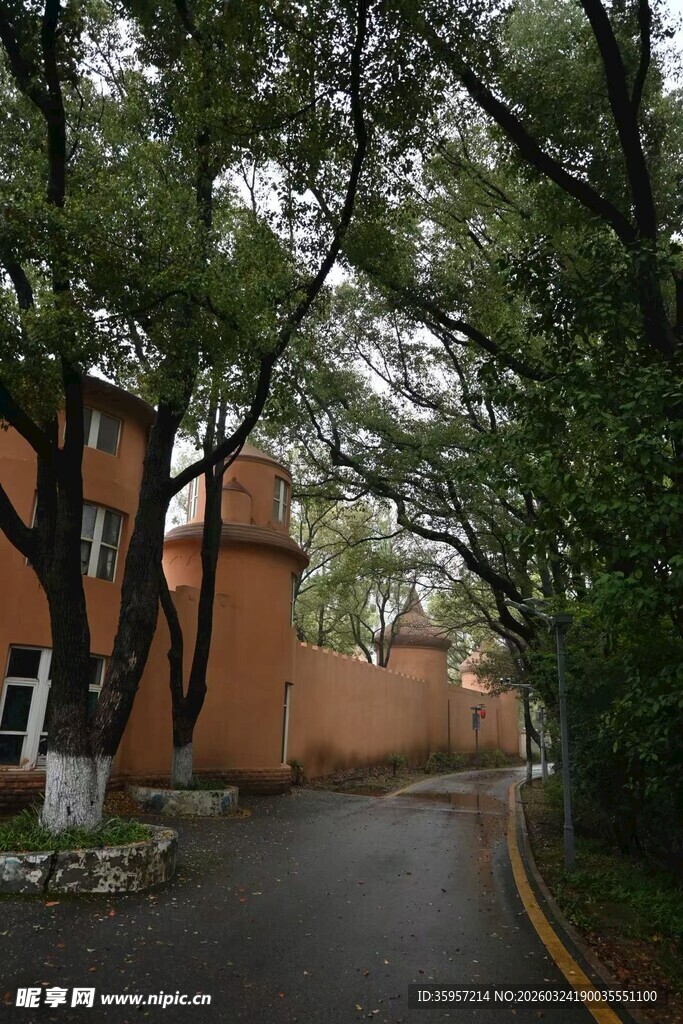 林荫小道旁的红墙建筑