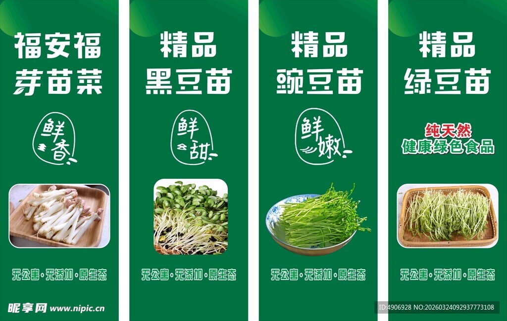 精选蔬菜系列展示