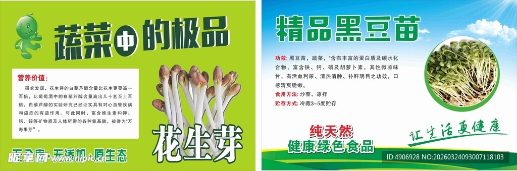 蔬菜种植精品盆栽