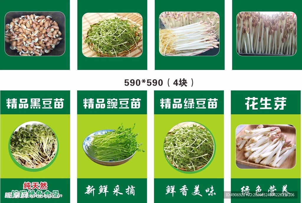 豆苗 叶子 嫩芽 