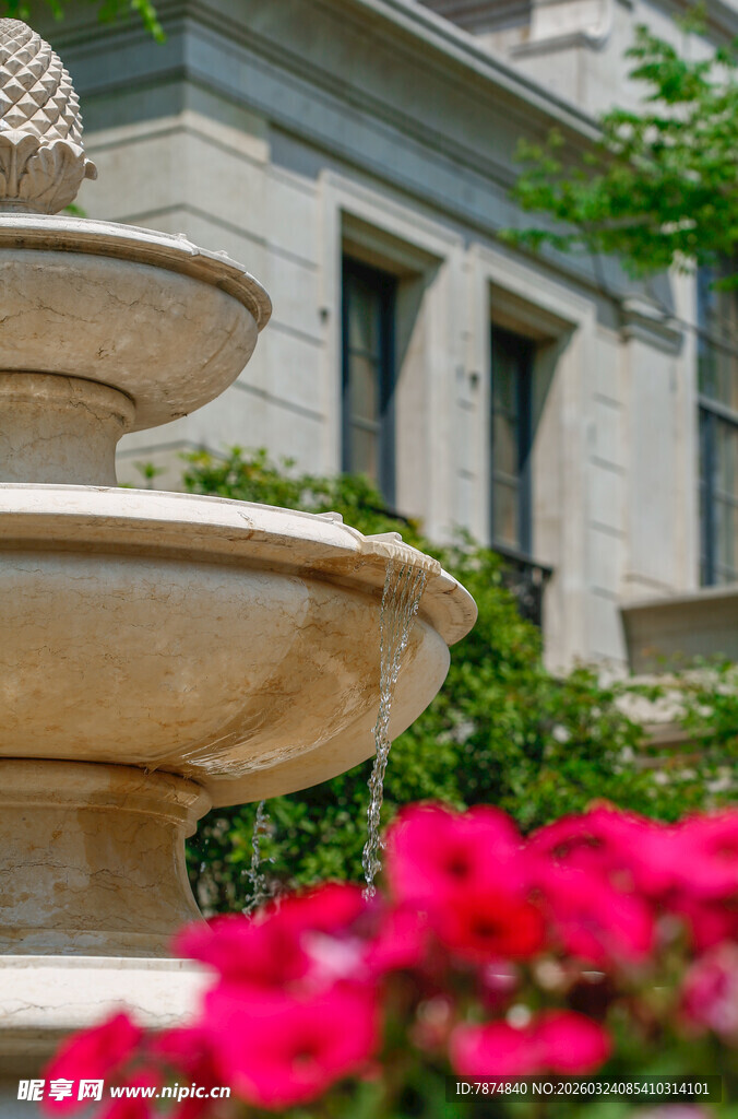 庭院喷泉旁的艳丽花卉