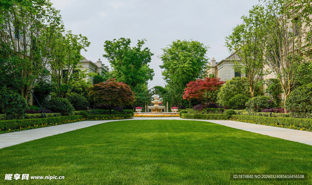 美丽庭院草坪景观