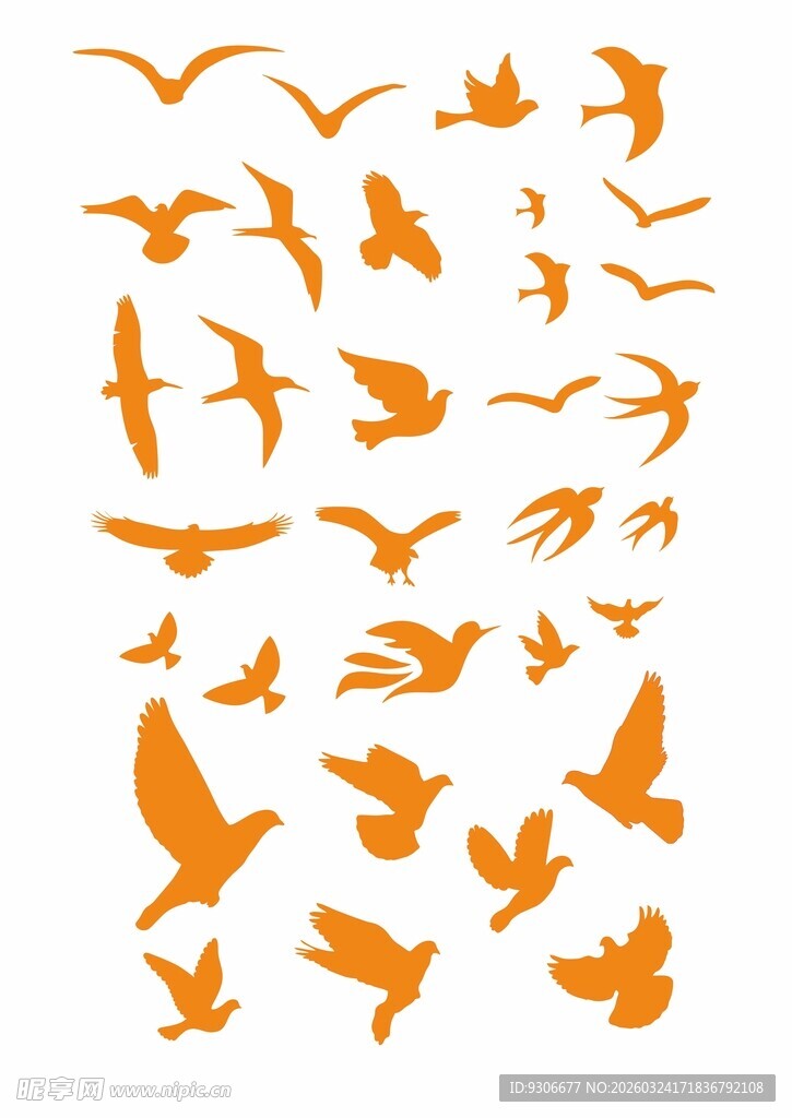 橙色飞鸟剪影集合