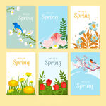 春季花卉鸟类插画集合