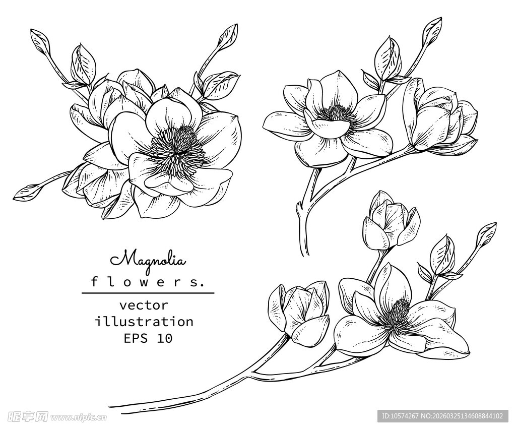 手绘花卉图案设计素材