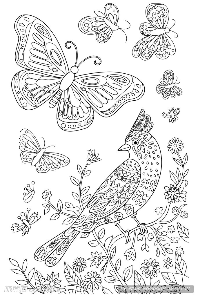 花鸟蝴蝶线描图案素材