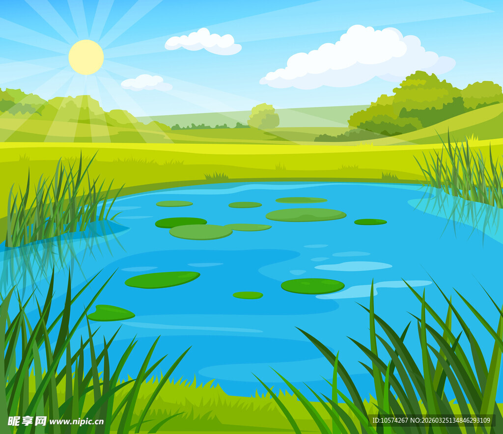 夏日田园池塘风光