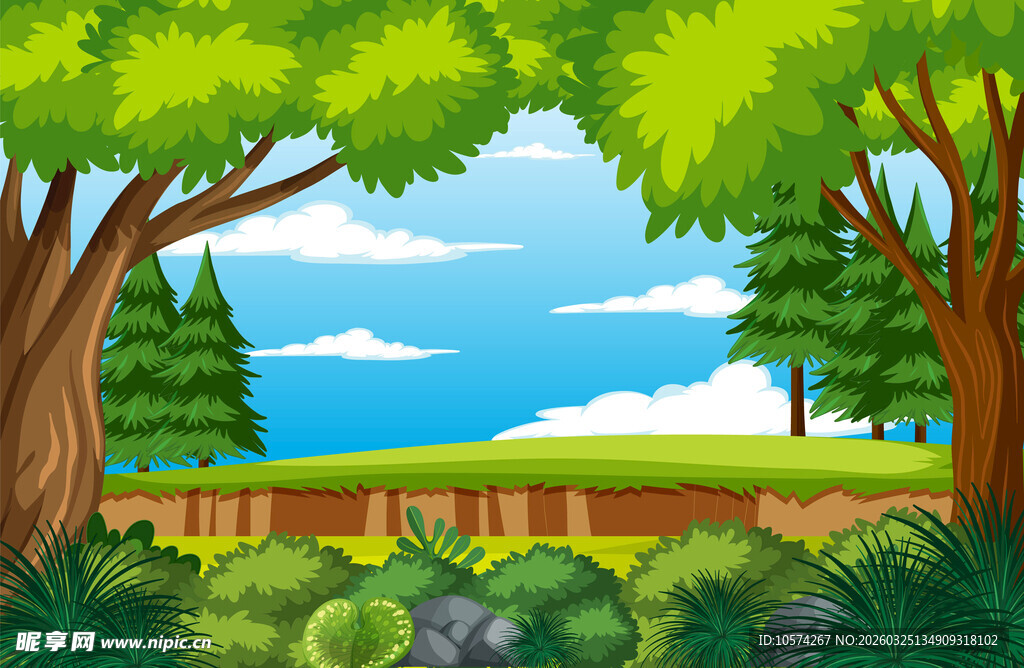 森林中的开阔自然景观