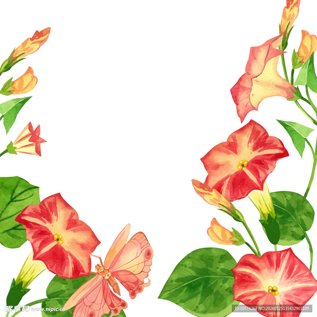 水彩绘制的美丽牵牛花