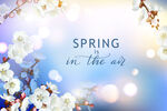 春日繁花  空气中的春之韵