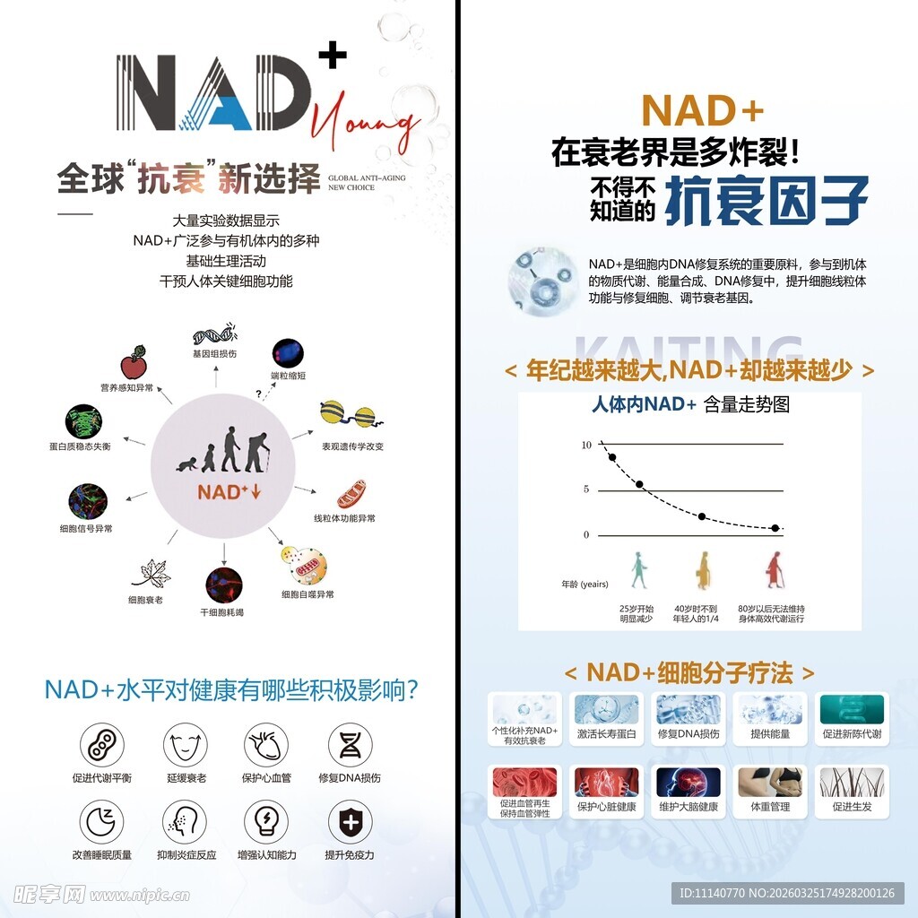 NAD产品宣传
