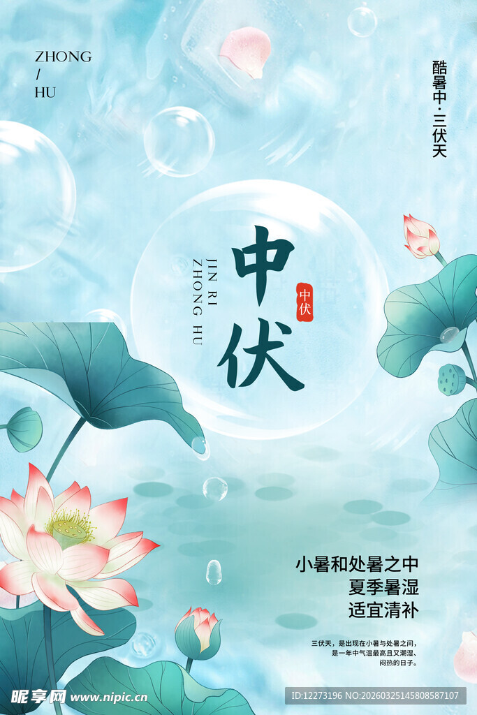 中伏时节荷花清雅图景