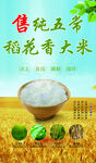 五常稻花香大米