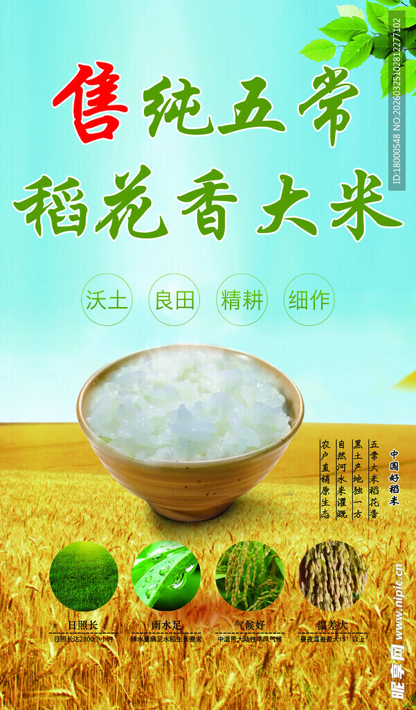 五常稻花香大米