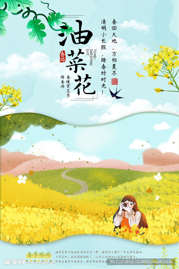 油菜花海报