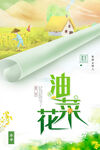 油菜花海报
