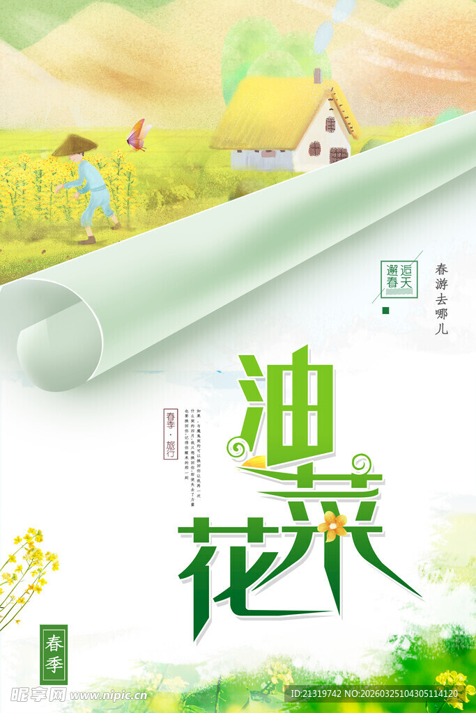 油菜花海报