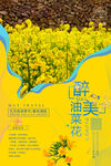醉美油菜花