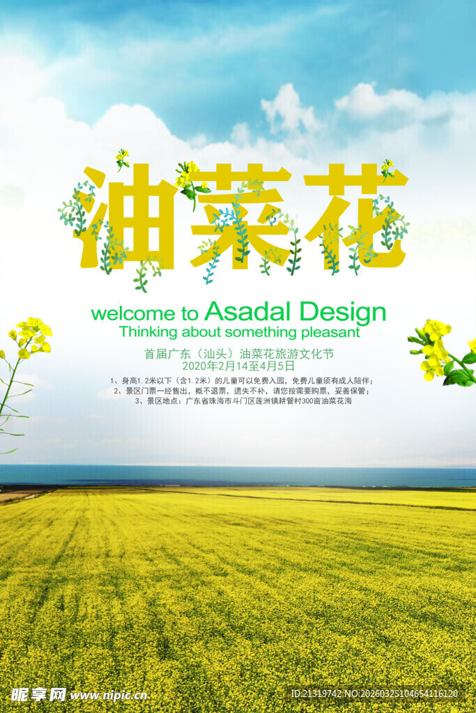 油菜花