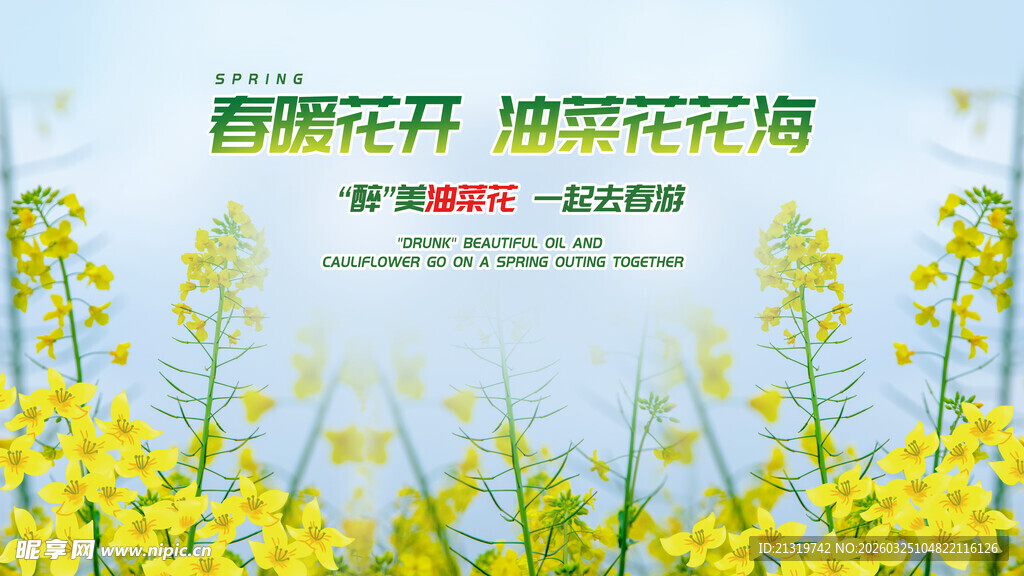 油菜花展板