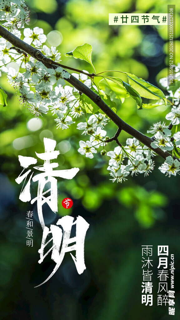 春日素明枝头繁花初绽