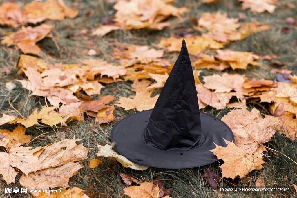 地上的黑色女巫帽
