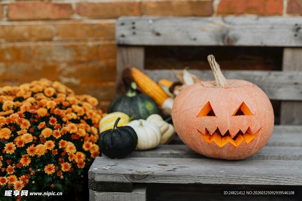 木桌上的万圣节南瓜装饰