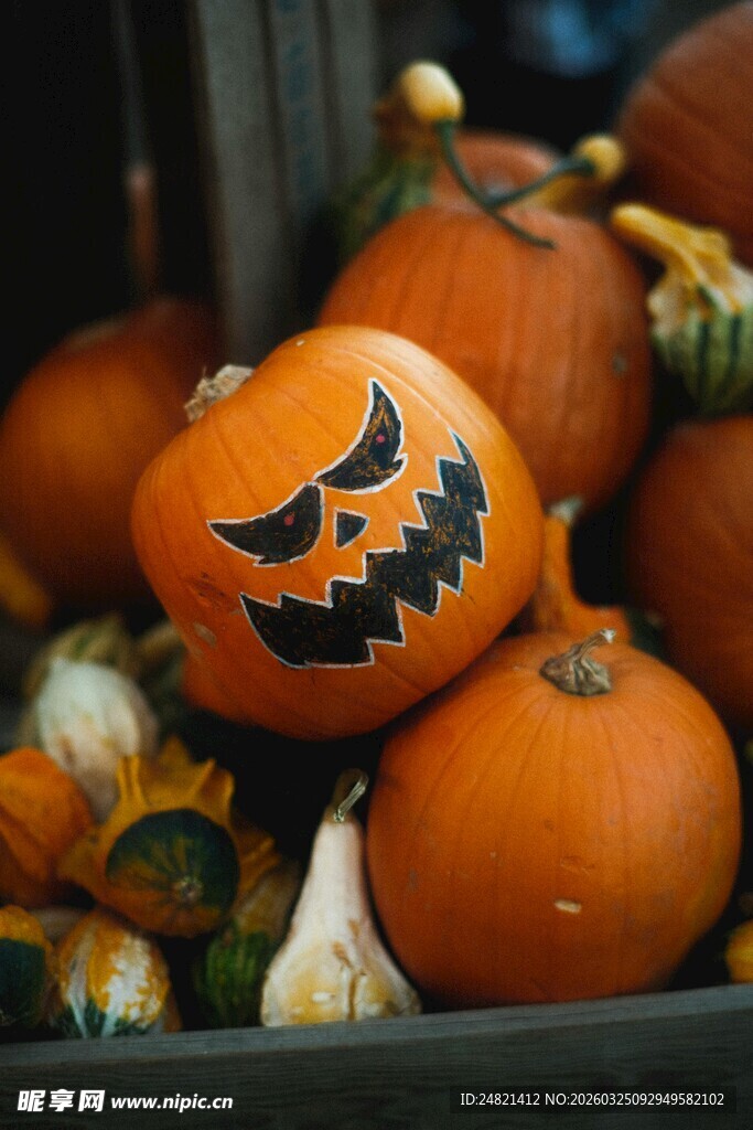 万圣节南瓜装饰
