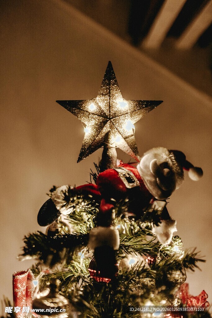 圣诞树下可爱小狗