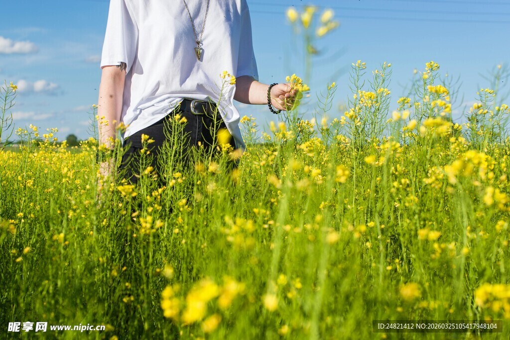 漫步花海的白衣身影