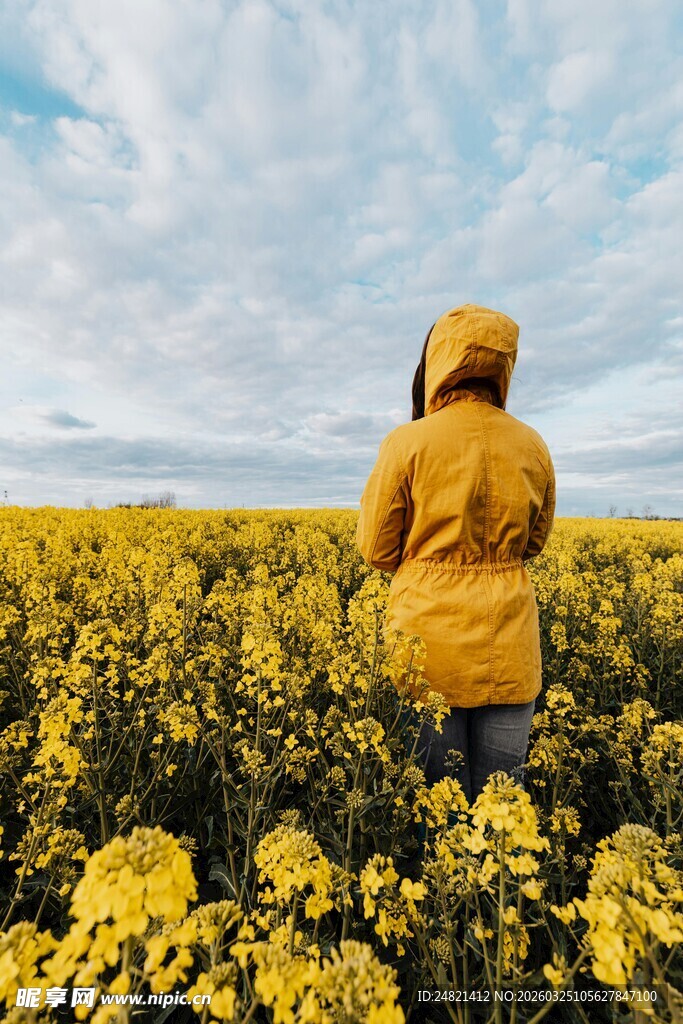 漫步花海的黄色身影