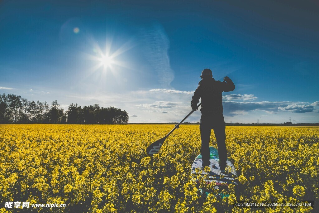 田野中劳作的孤独身影