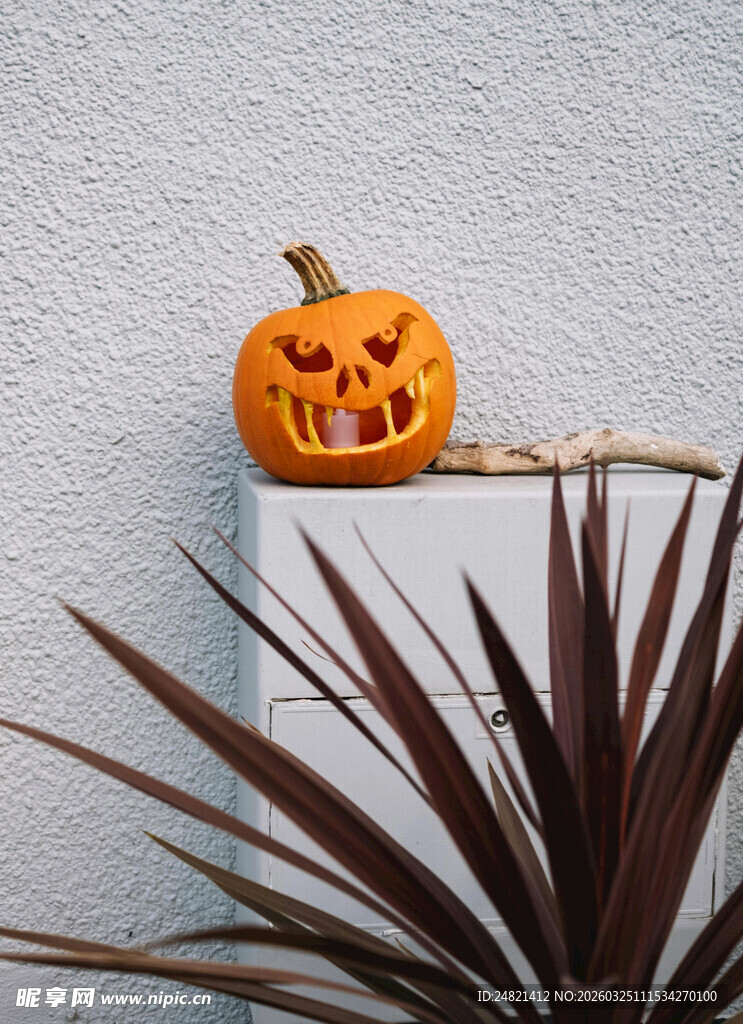 南瓜灯置于绿植旁