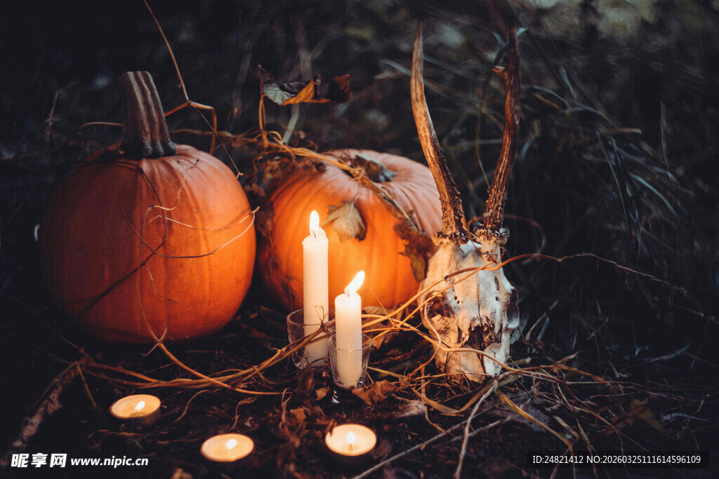 万圣节南瓜烛光装饰场景