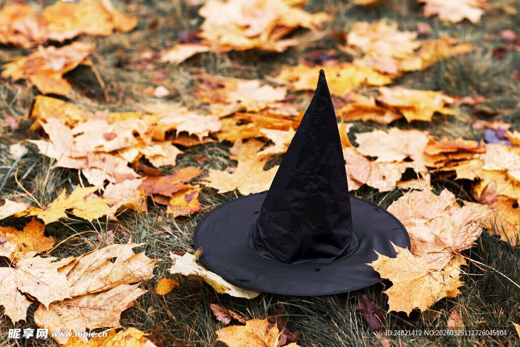 草地上的黑色女巫帽