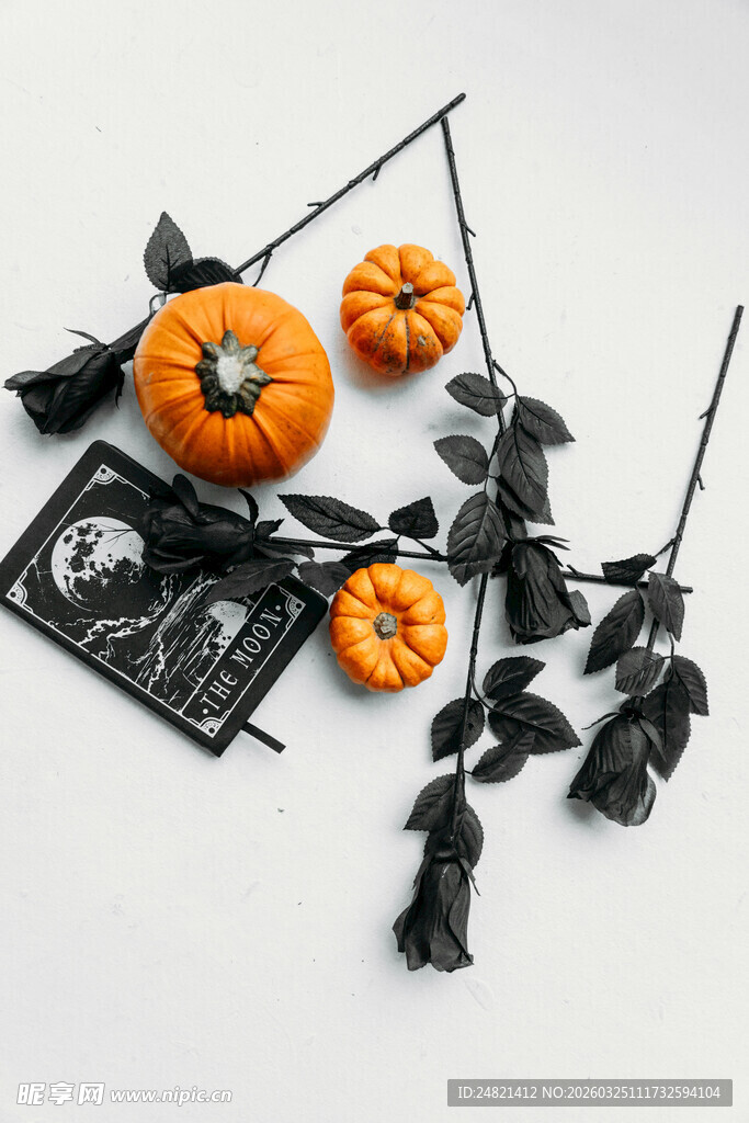 万圣节装饰小物