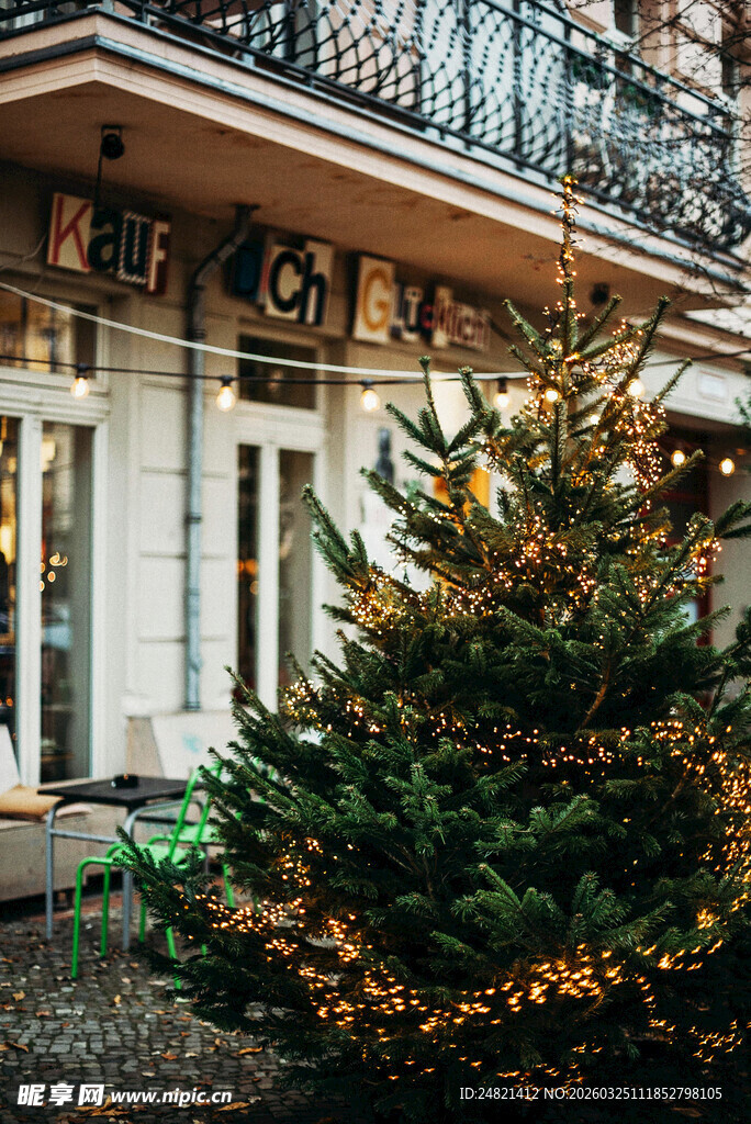 门前装饰小圣诞树的建筑