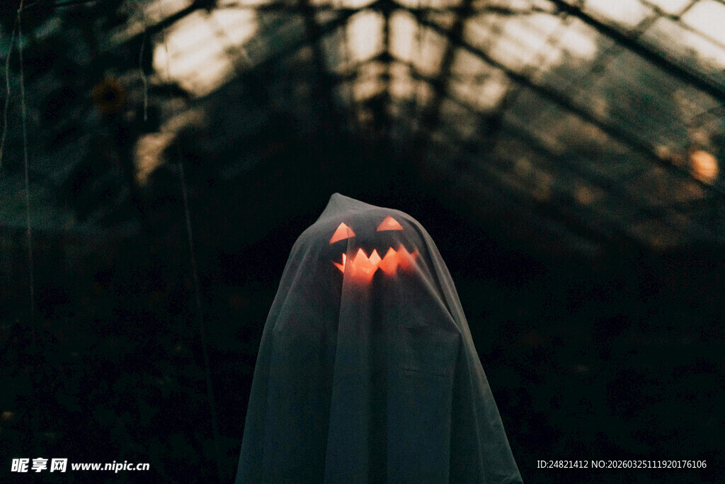 幽灵般的神秘身影