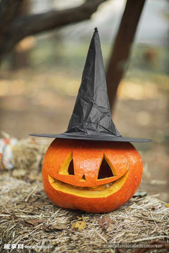 万圣节南瓜灯与女巫帽