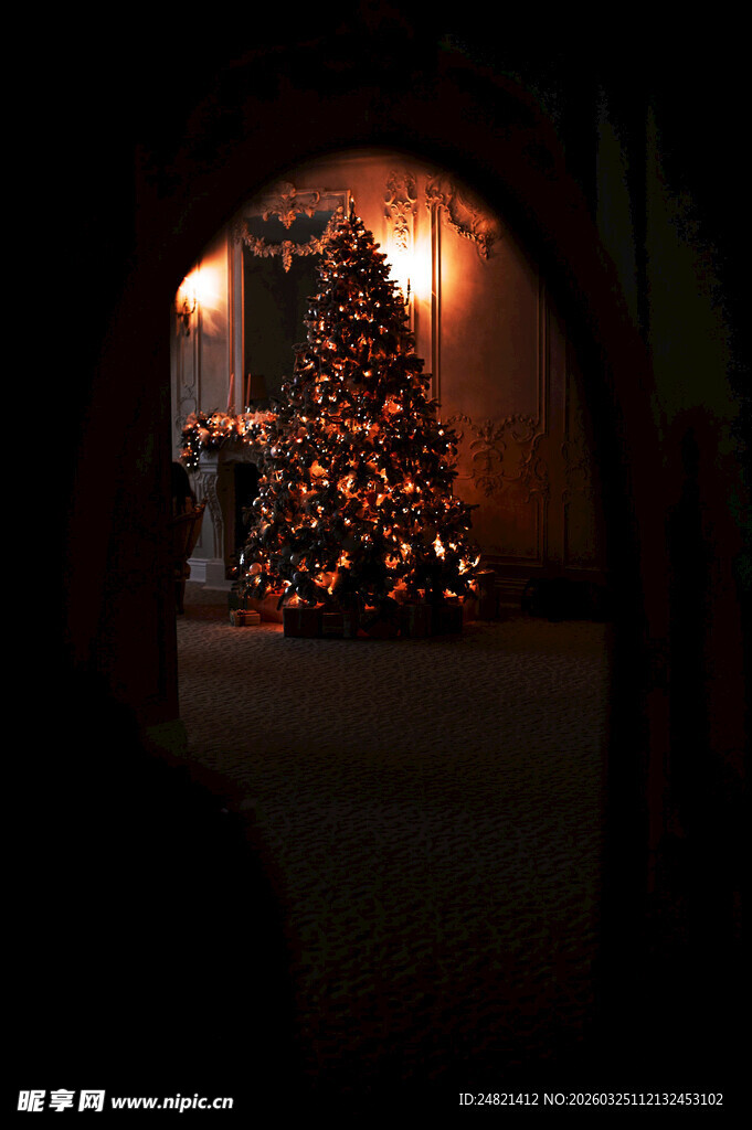 温馨室内圣诞树灯光美景