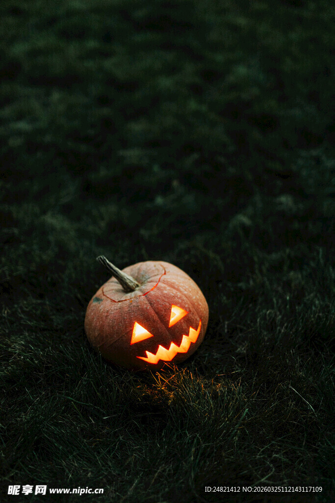 草地上的发光南瓜灯